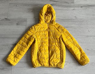 Lote 4 prendas: 2 abrigos, chaleco, sudadera