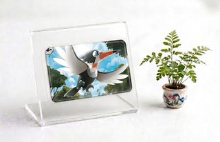 Imán Pokémon Coleccionismo