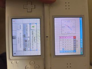 Juego Nintendo DS My Sims