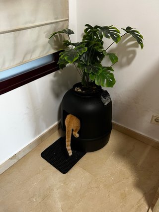 ARENERO DE DISEÑO PARA GATOS CON FILTRO Y PLANTAS