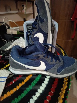 Zapatillas Nike Azul y Gris