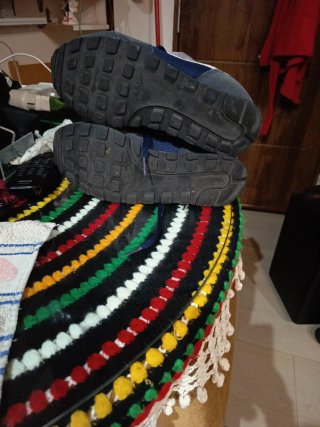 Zapatillas Nike Azul y Gris