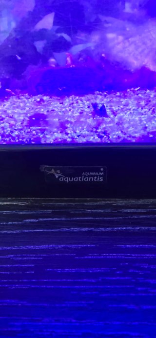 Acuario con luz LED azul y LED BLANCA