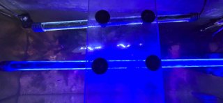 Acuario con luz LED azul y LED BLANCA