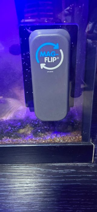 Acuario con luz LED azul y LED BLANCA