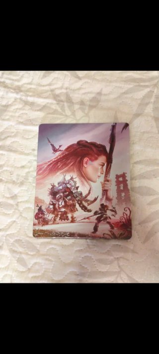 Horizon Forbidden West Edición Especial PS4
