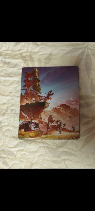 Horizon Forbidden West Edición Especial PS4