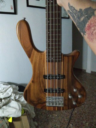 Bajo Washburn 5 cuerdas mejorado