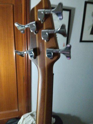 Bajo Washburn 5 cuerdas mejorado