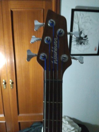 Bajo Washburn 5 cuerdas mejorado