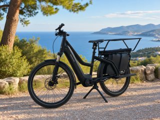 Riese & Muller Multicharger GT Vario ( Impoluta )