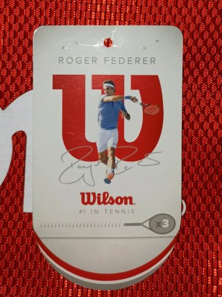 Wilson Roger Federer Team red tennis bag.