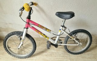 Bicicleta Orbea Jasmine Infantil