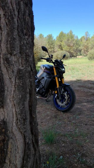 Yamaha MT-09 SP A2