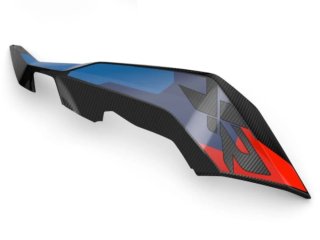 Laterales Carbono BMW M1000XR ( SOLO CAMBIO )