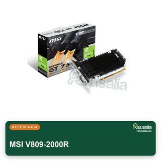 MSI V809-2000R tarjeta gráfica pasiva 2GB HDMI