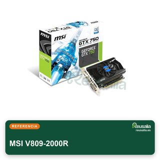MSI V809-2000R tarjeta gráfica pasiva 2GB HDMI