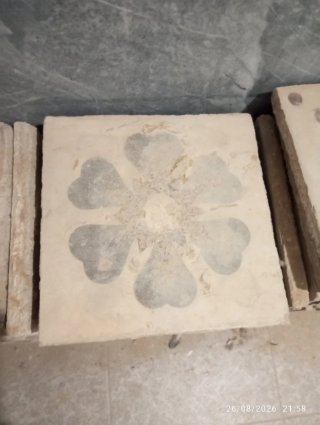 Lote losas hidráulicas antiguas