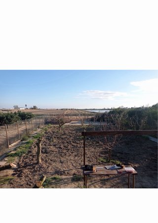 Vendo terreno en Amposta