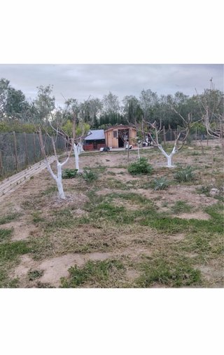 Vendo terreno en Amposta