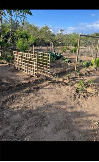 Vendo terreno en Amposta
