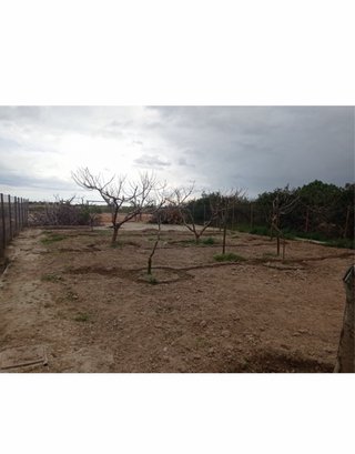 Vendo terreno en Amposta