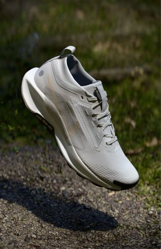 Nike Pegasus Trail 5 Goretex