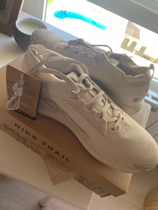 Nike Pegasus Trail 5 Goretex