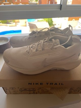 Nike Pegasus Trail 5 Goretex