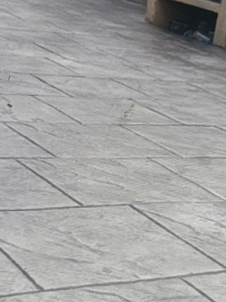 Pavicristi hormigón naves parcelas pavimentos