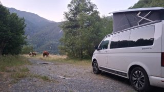 Volkswagen California 2023