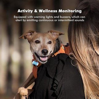 WANWAYTECH Collar GPS 4G IP67 LED Suscripción