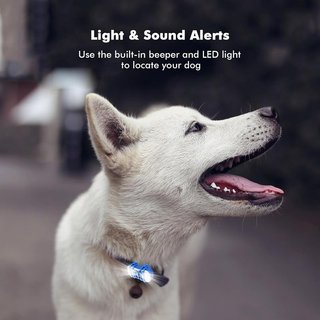 WANWAYTECH Collar GPS 4G IP67 LED Suscripción