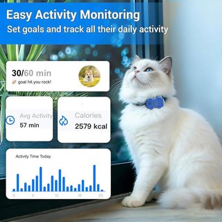 WANWAYTECH Collar GPS 4G IP67 LED Suscripción