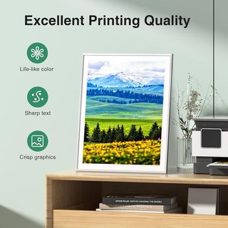 COLORFLY 912XL pack 5 HP OfficeJet Pro 8022