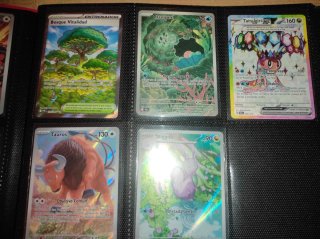 Lote Cartas Pokémon Varias