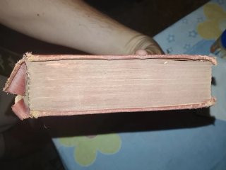 Libro Los viajes de gulliver