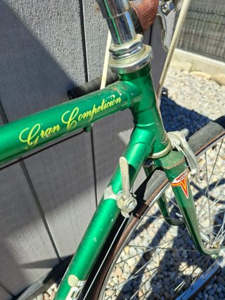 Bicicleta Vintage Rabasa Derbi Verde talla 54
