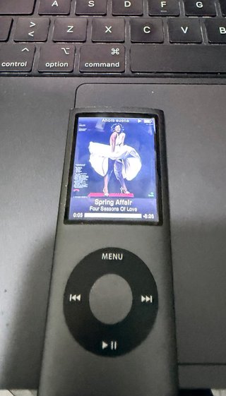 iPod nano 4ta Gen 8GB Plata