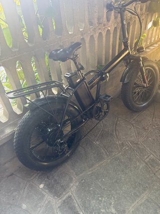 Bici elettrica M1u