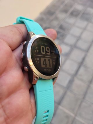 Garmin Fenix 7 Plata