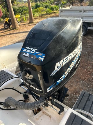 Mercury 225 OptiMax SaltWater fueraborda