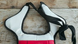 Peto protector reversible