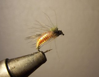 NINFAS PARA LA PESCA DE TRUCHAS