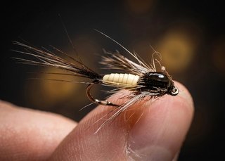 NINFAS PARA LA PESCA DE TRUCHAS