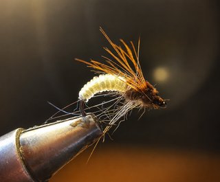 NINFAS PARA LA PESCA DE TRUCHAS