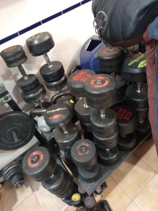 Mancuernas Bodytone 22.5kg y 12.5kg