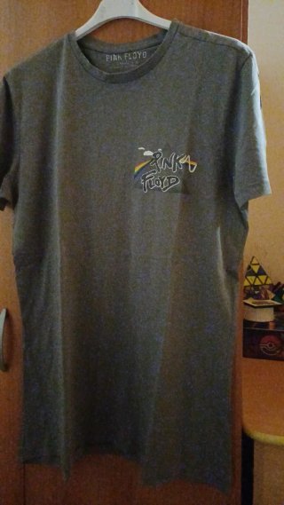 Maglietta Pink Floyd Grigia Ragazzo