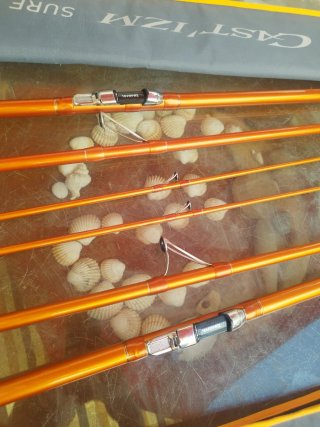Cañas de pescar Daiwa izm
