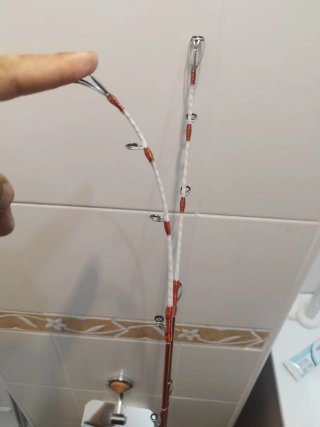 Cañas de pescar Daiwa izm